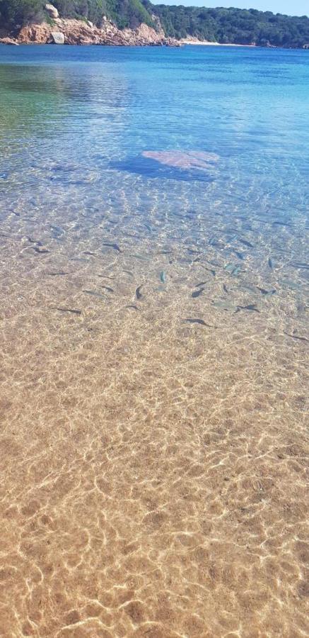 Appartamento Bluewater La Maddalena  Buitenkant foto