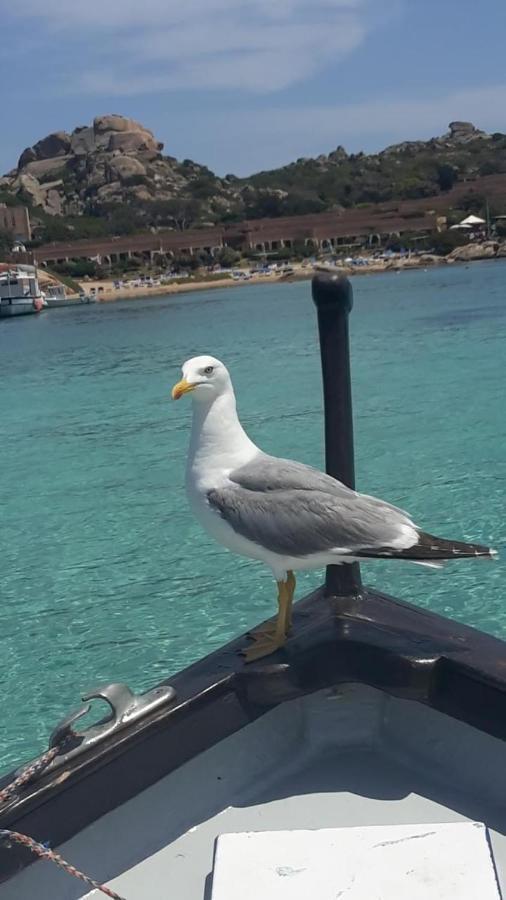 Appartamento Bluewater La Maddalena  Buitenkant foto